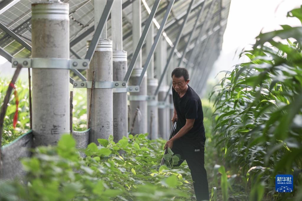 新霸电子游戏地址